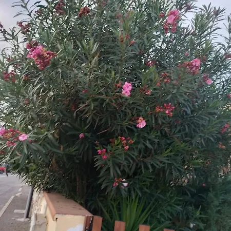 Σπίτι διακοπών Casa Funtana Meiga *